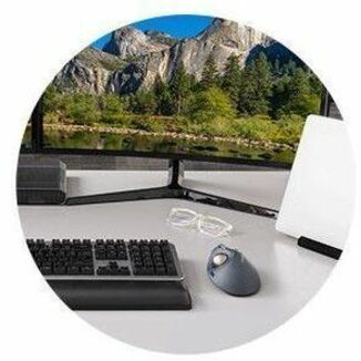 FPROFIT ERGO TB550 TRACKBALL