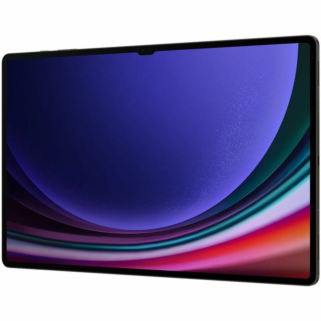Galaxy Tab S9 Ultra WiFi Gray