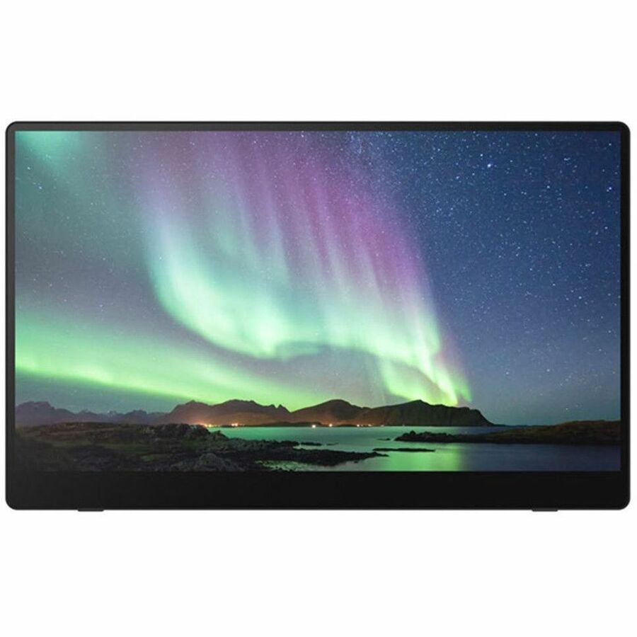 RICOH PORTABLE MONITOR 150BW