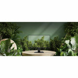 MSI PRO MP2412 24" Class Full HD LCD Monitor - 16:9