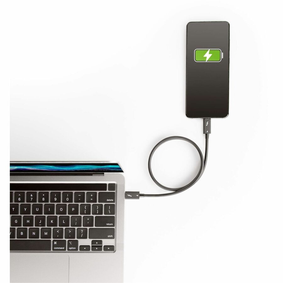 StarTech.com 1.6ft/50cm Thunderbolt 4 Cable, 40Gbps, 100W PD, 4K/8K Video, Intel-Certified, Compatible w/Thunderbolt 3/USB 3.2/DisplayPort