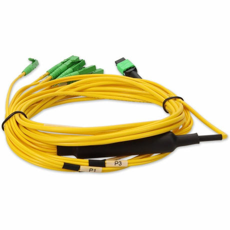 MPO-12/4XALC F/M FANOUT CBL