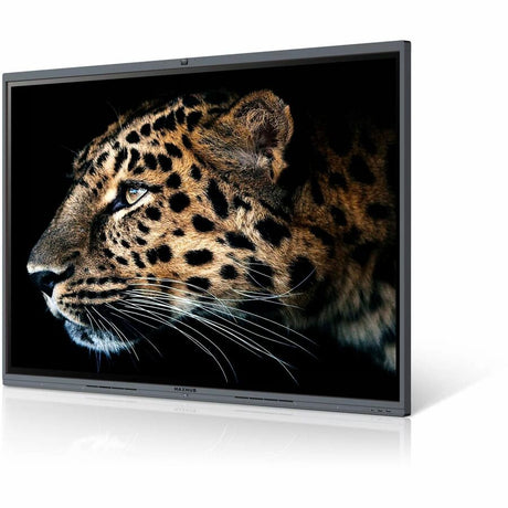 MaxHub V6 Classic C6530 Collaboration Display