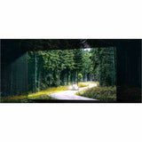 Samsung QN800D QN65QN800DF 65" Smart LED-LCD TV 2024 - 8K UHD - High Dynamic Range (HDR)