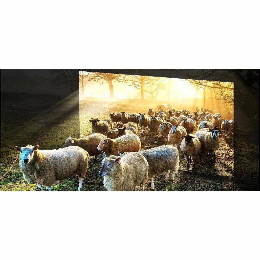 Samsung QN900D QN75QN900DF 74.5" Smart LED-LCD TV - 8K UHD - High Dynamic Range (HDR) - Black