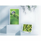 Sharp EP-C251 Digital Signage Display