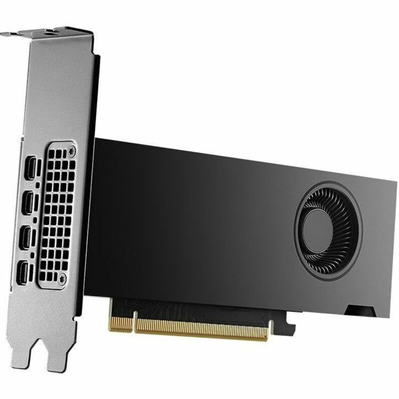 NVIDIA RTX&trade; 2000 Ada Generation Professional Graphics Board