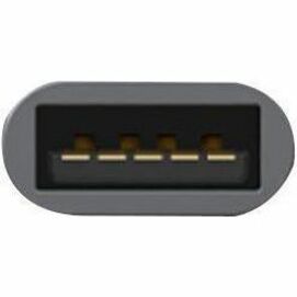 USB A to USB C Adapter