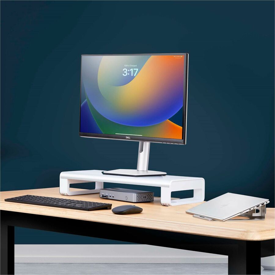 Ergonomic Mntr Riser Stand