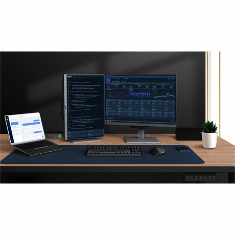 BenQ RD280U 28" Class WQXGA LED Monitor - 3:2