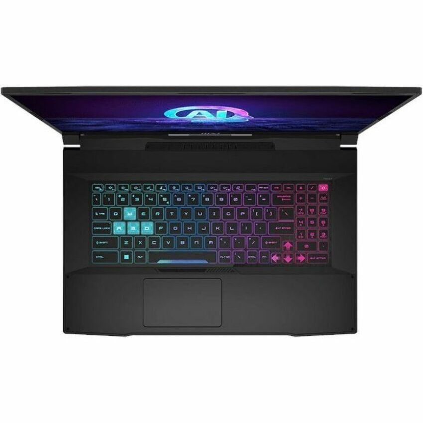 MSI Katana A17 AI B8V KATANA A17 AI B8VF-895US 17.3" Gaming Notebook - Full HD - AMD Ryzen 9 8945HS - 32 GB - 1 TB SSD - Black