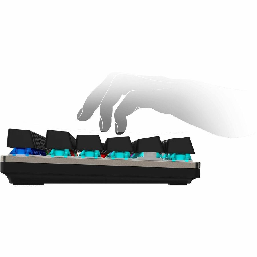 FORGE GK310 COMBO RED US