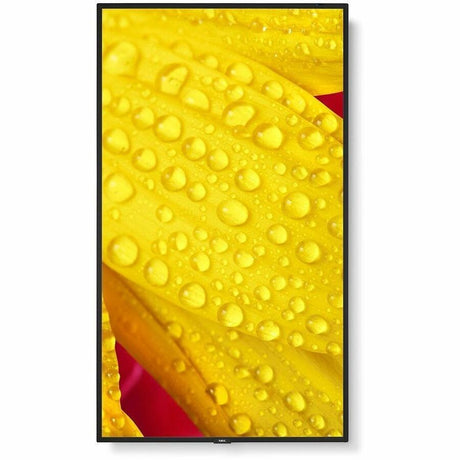 65 LED LCD PUBLIC DISPLAY