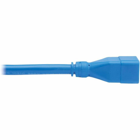 EXT CORD C20 C19 20A BLUE 2FT