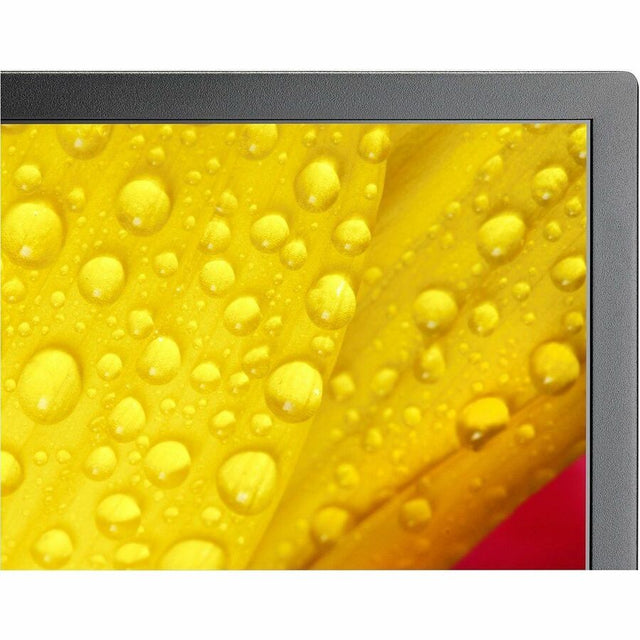 Sharp NEC Display MultiSync M431-2 Digital Signage Display