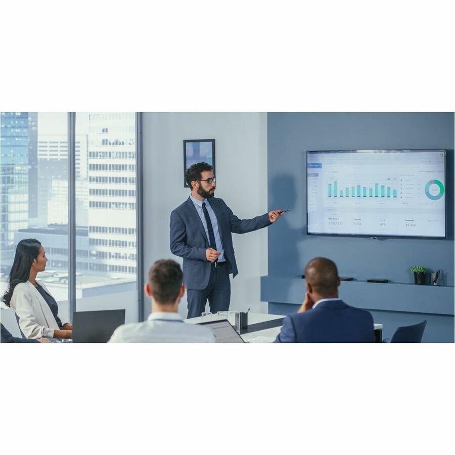 V7 WP500C Presentation Pointer