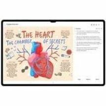 Tab S10 Ultra 12+512GB Gray