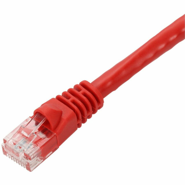 55FT RED CAT6 UTP PVC
