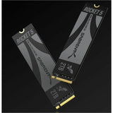 PCIE GEN 5 2TB NVME SSD