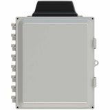 AIREDALE TERRIER 4:1 ANT