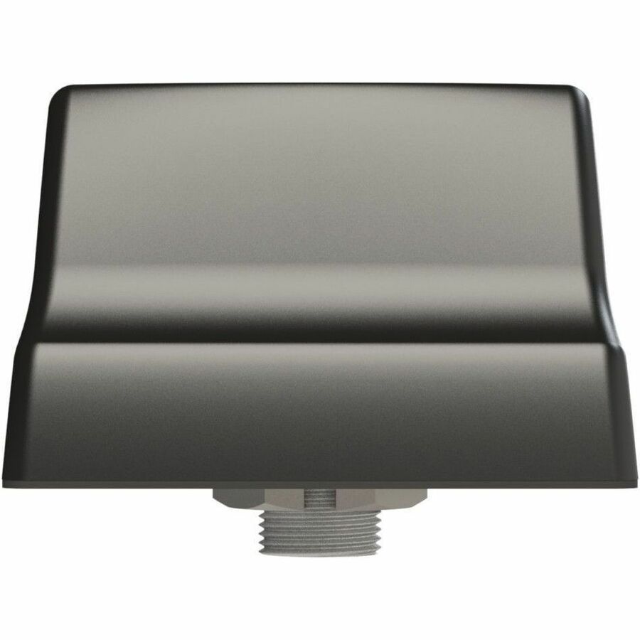 AIREDALE TERRIER 4:1 ANT