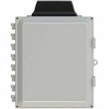 AIREDALE TERRIER 4:1 ANT