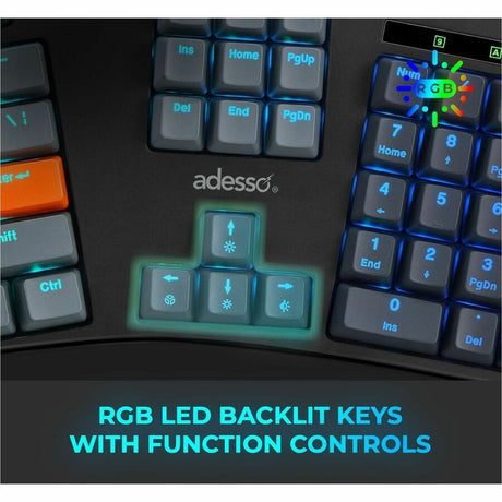 Ergo Mechanical Custom Kybrd