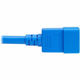 POWER CORD C20 C21 HEAVY-DUTY