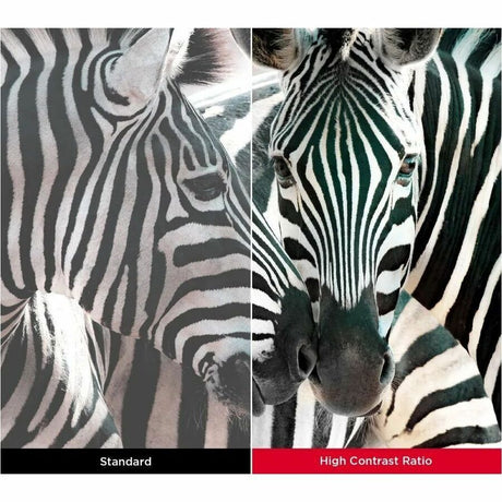 1080P PROJECTOR FOR HOME AND