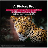 LG evo C5 OLED55C5PUA 55.2" Smart OLED TV - 4K UHDTV