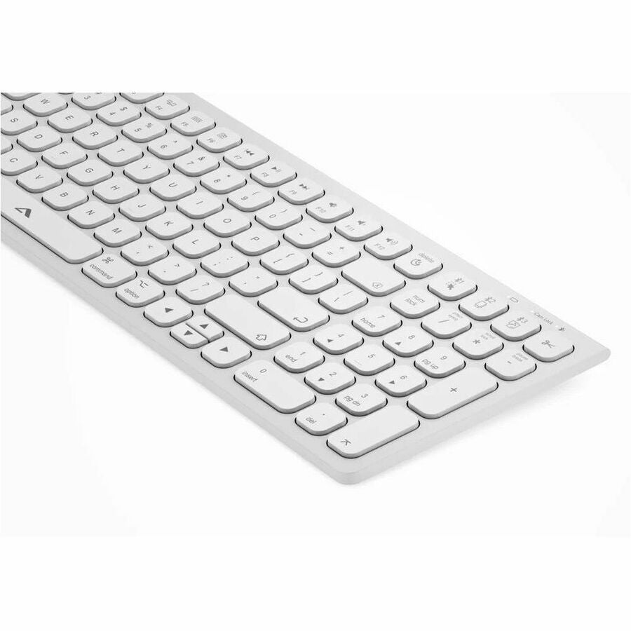 ALOGIC ECHELON COMPACT USB-C