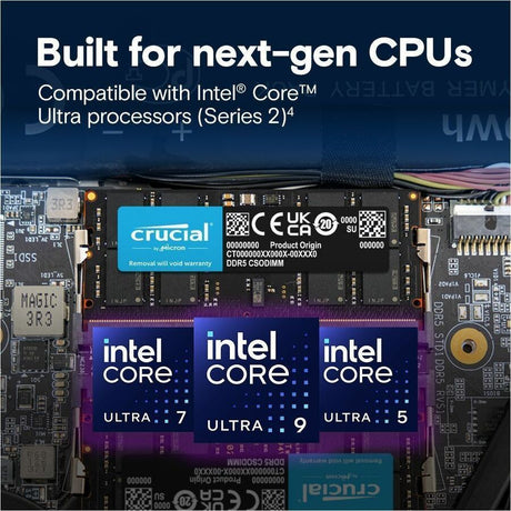 Crucial RAM Module