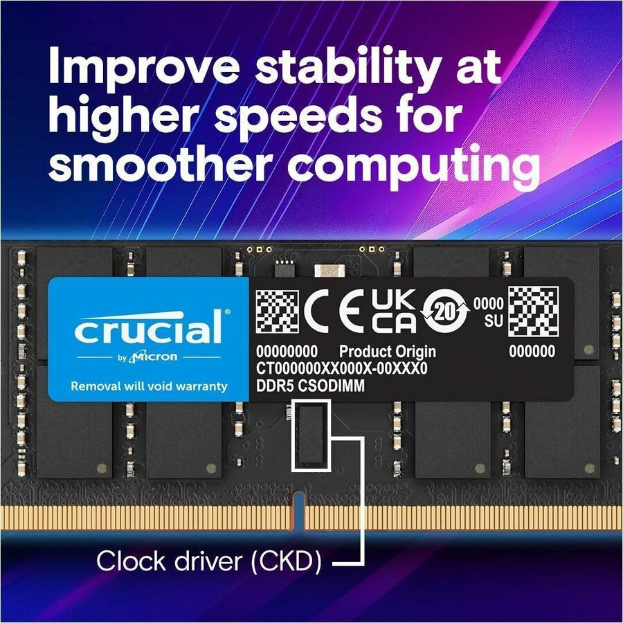 Crucial RAM Module