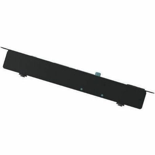 Security and Environmental Appliance, NetBotz, Rack Mount, 250A [TAA]
