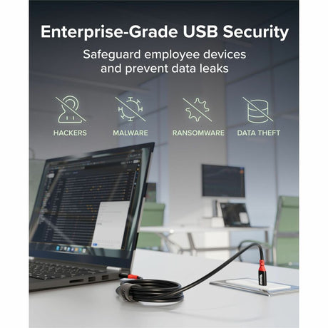 Plugable USB C to USB C Cable, Data Blocker Charge Only Cable (2m/6.6ft): 240W Safe Fast Charging