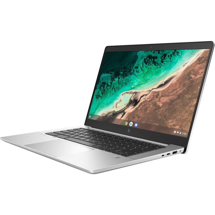 HP Elite c645 G2 Chromebook 14